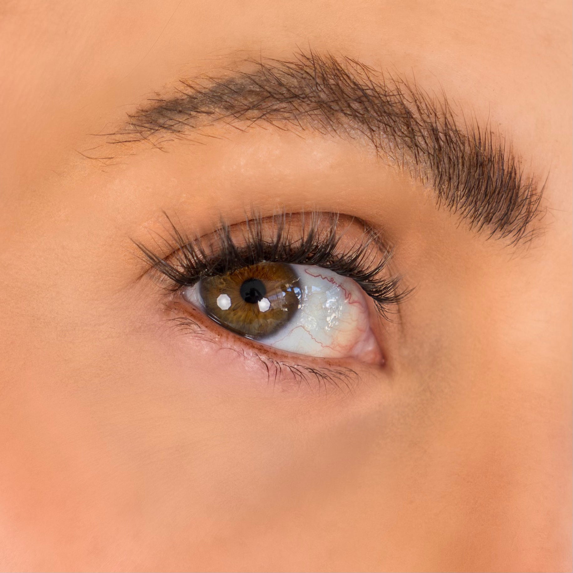 Pre glued DIY Lashes foxy side