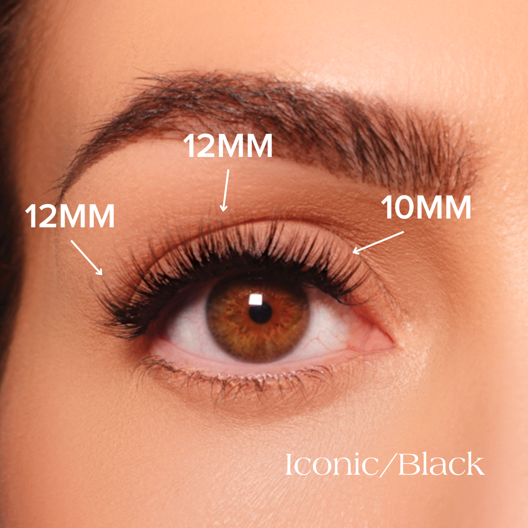 Iconic Lashes