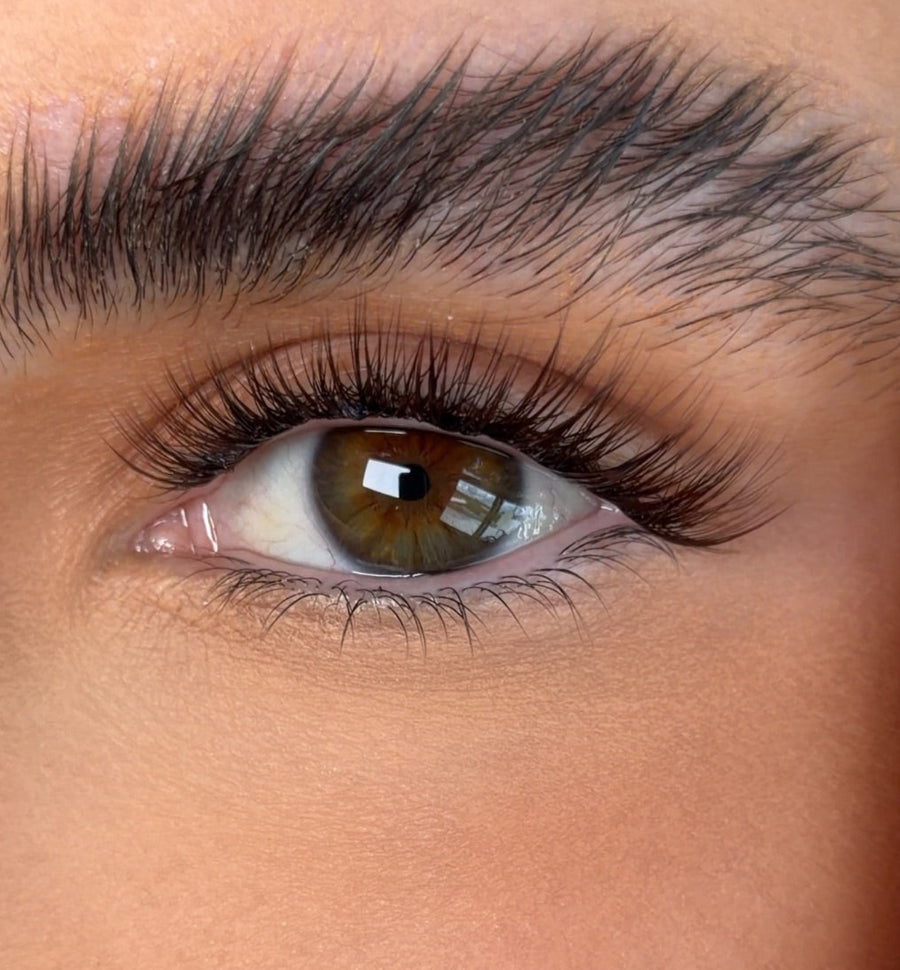 Close up of Natural lashes in brown