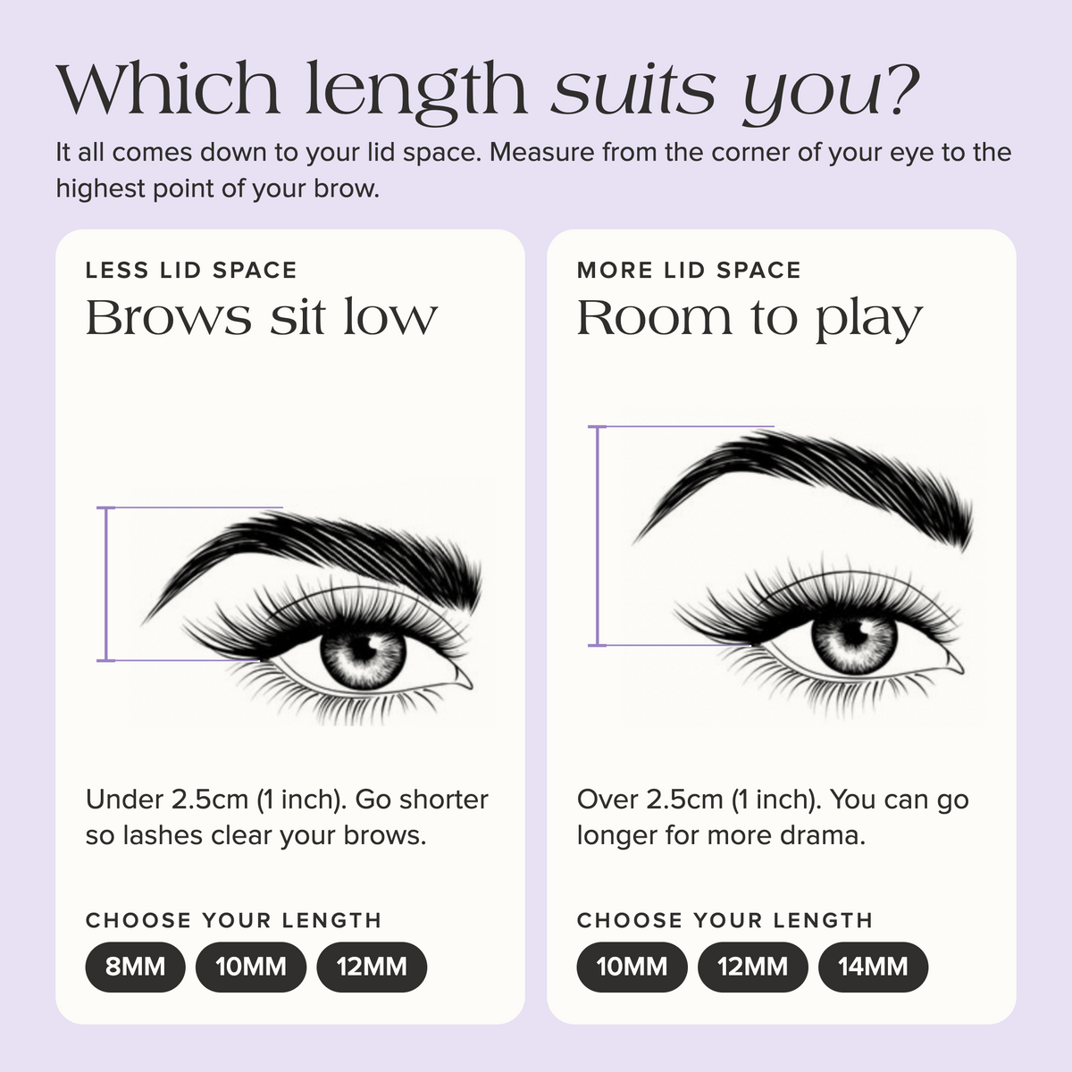 The OG Lash Starter Kit