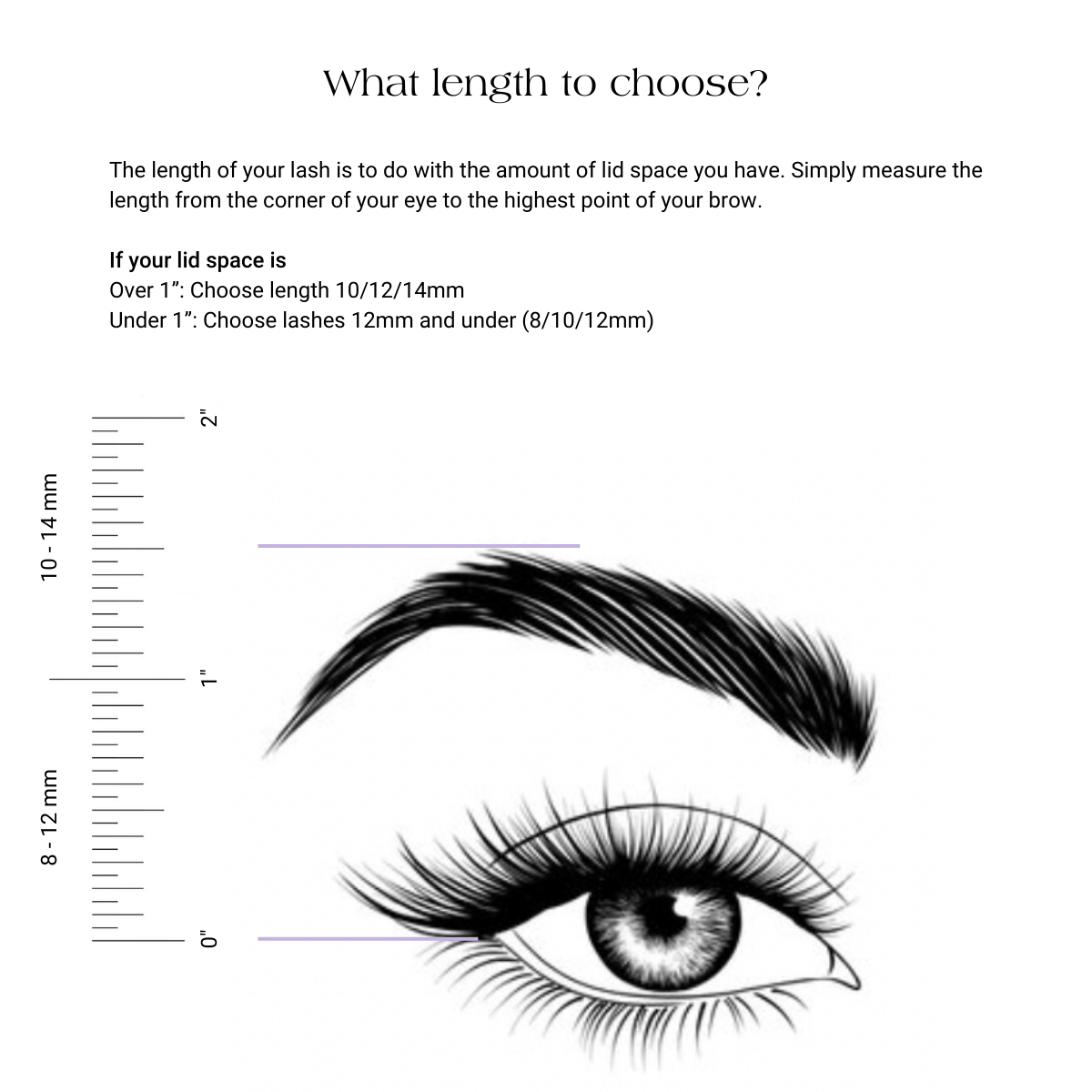 Lash Kit | Underlash