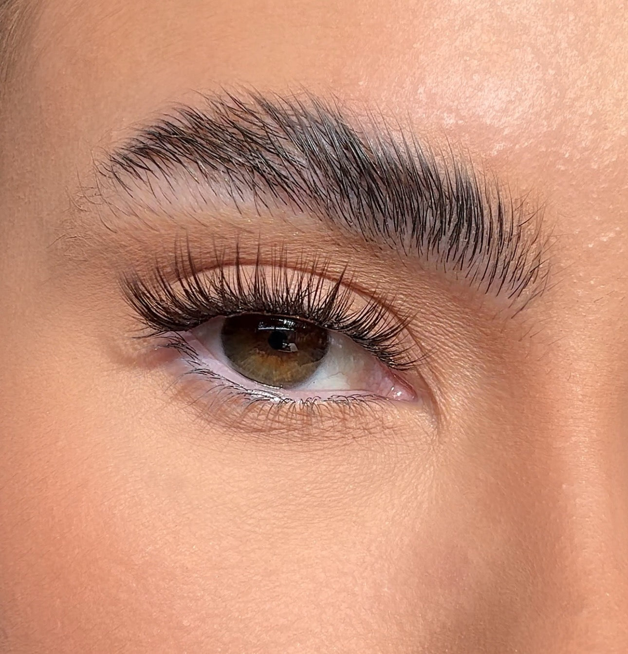 Close-up of a person's eye with long, thick eyelashes and well-groomed eyebrow.