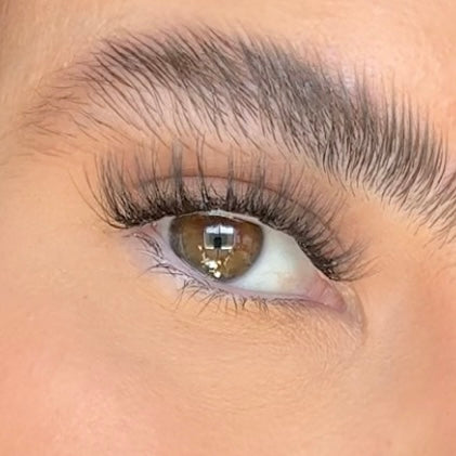 Close-up of a human eye with long, dark, curled eyelashes and a neatly shaped eyebrow.