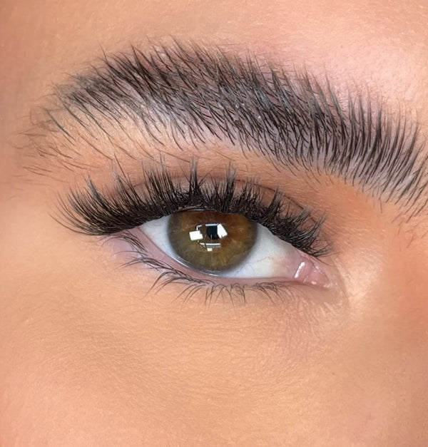 Close-up of an eye with long, thick eyelashes and well-defined eyebrows.