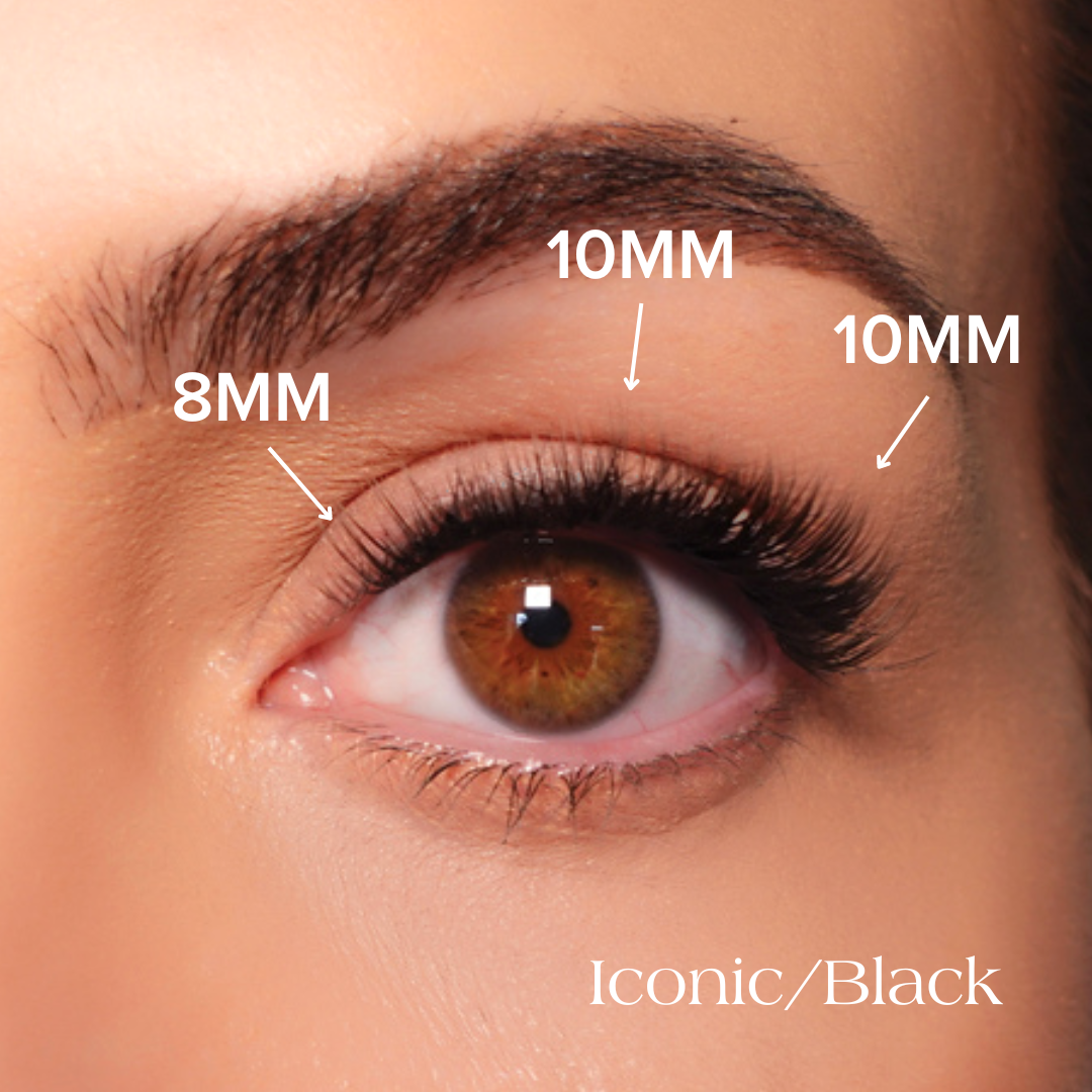 Eye with Iconic lashes in sizes 8mm and 10mm