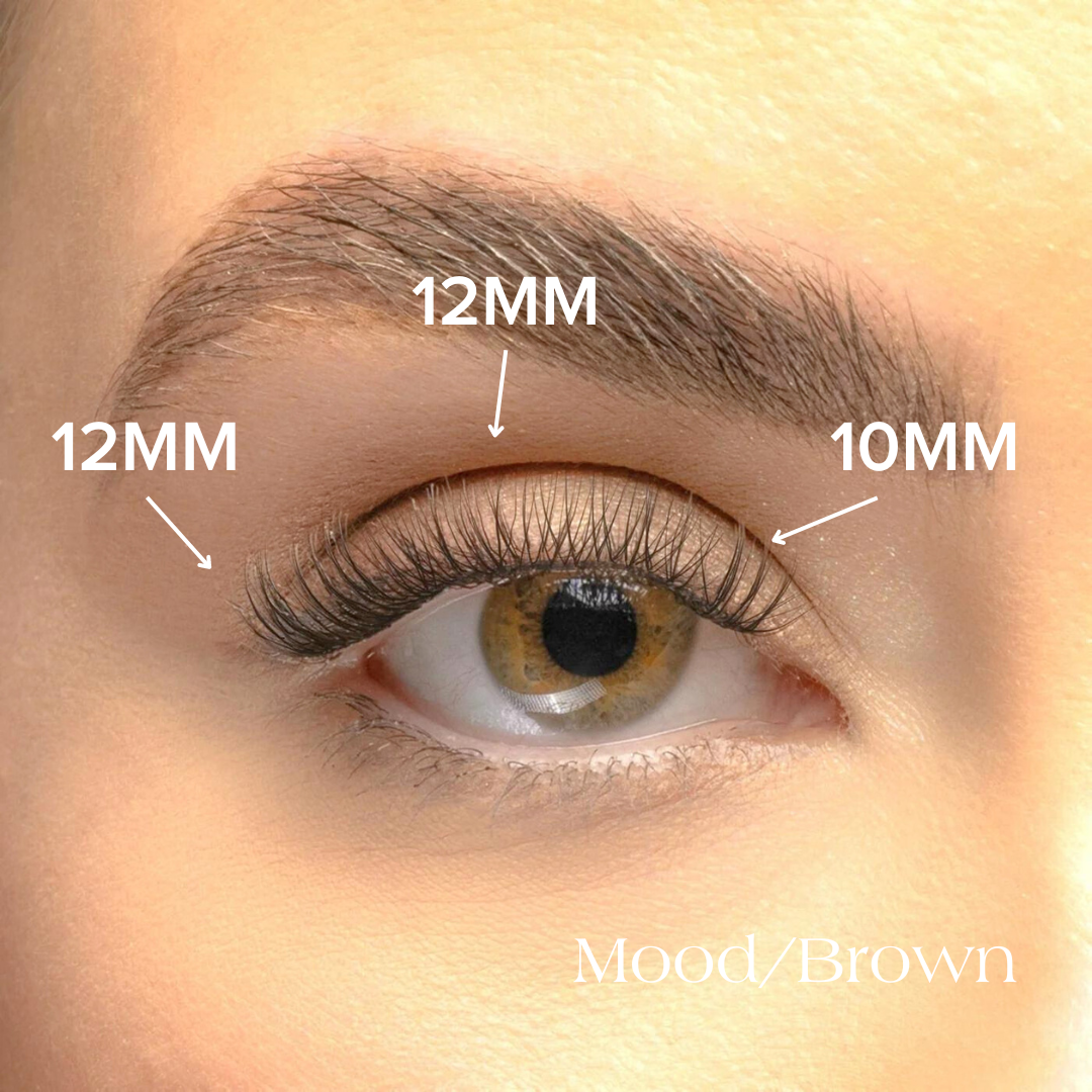 Mood Brown lashes in sizes 12mm and 10mm